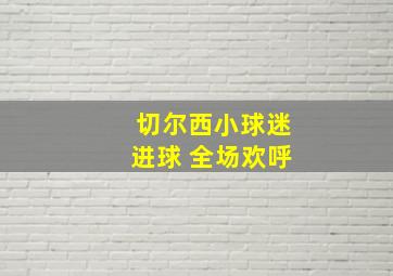 切尔西小球迷进球 全场欢呼